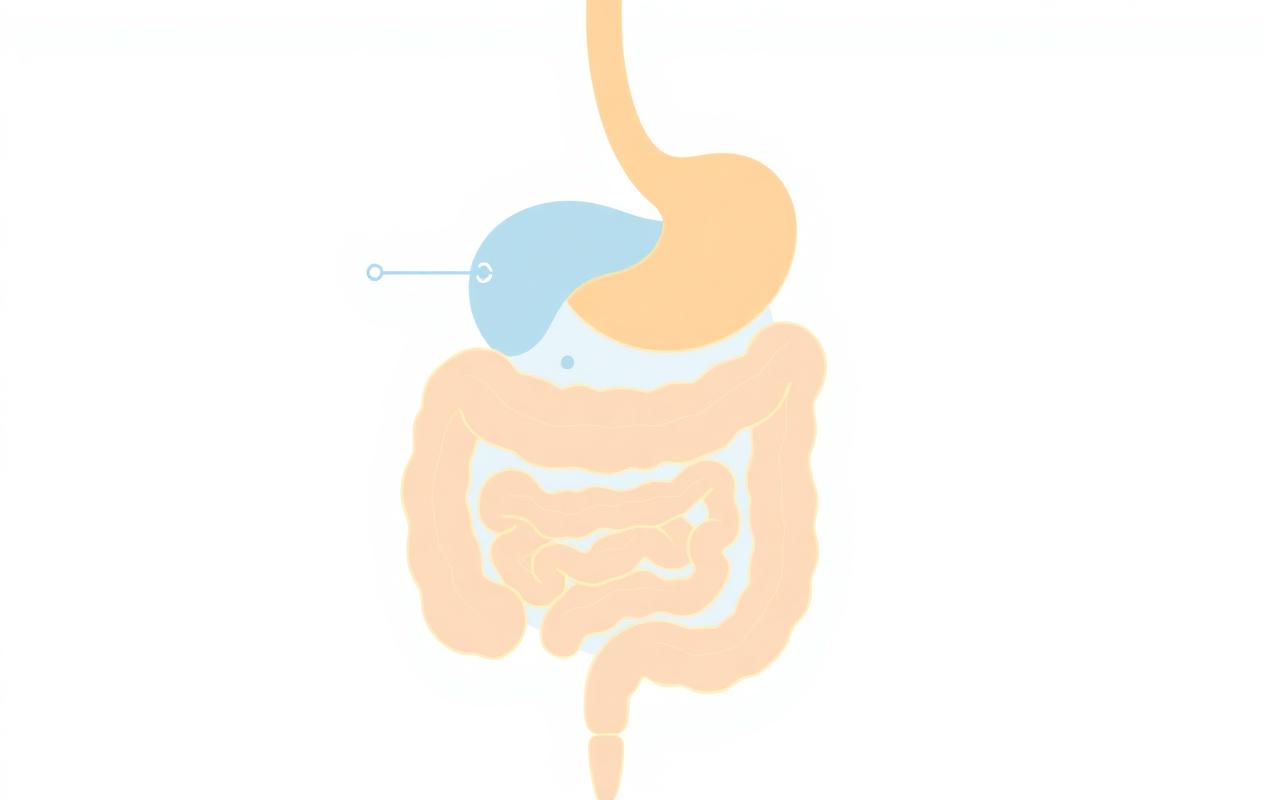 Illustration of healthy intestinal flora and gut microbiome